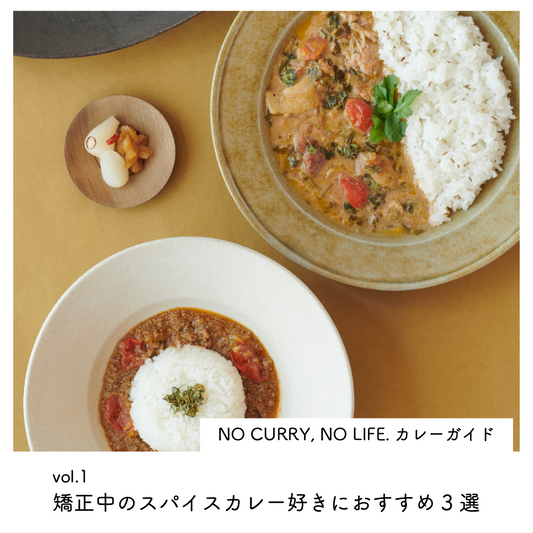 歯列矯正中のカレー好き必見!NO CURRY, NO LIFE.カレーガイドvol.1 - スパイスカレー好きにおすすめのカレー3選-