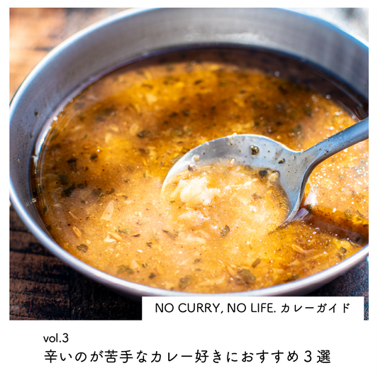 歯列矯正中のカレー好き必見!NO CURRY, NO LIFE.カレーガイドvol.3 - 辛いのが苦手なカレー好きにおすすめ3選-